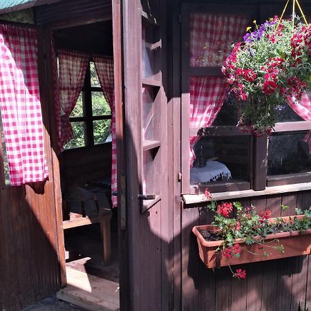 Charmante Ferienwohnung 3 Zimmer Kueche Bad Zentrale Lage Hagen im Bremischen Экстерьер фото